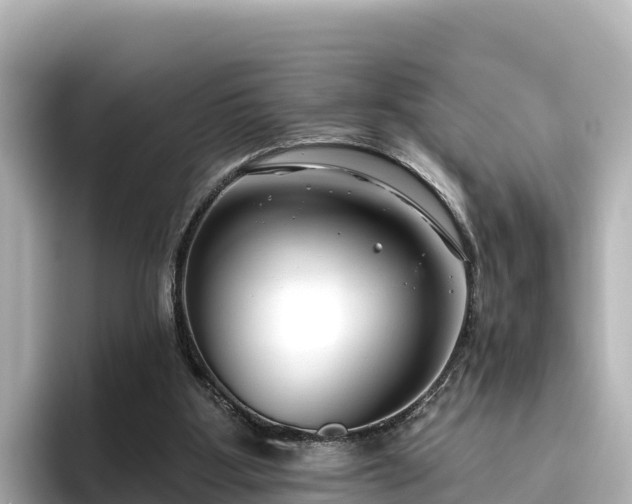 X0000096430107200801311440