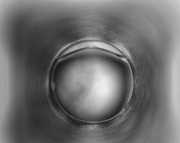 X0000096430108200801311440