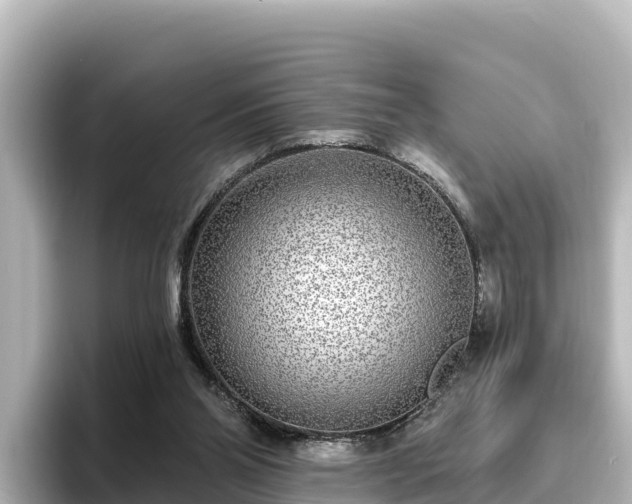 X0000096430110200801311440