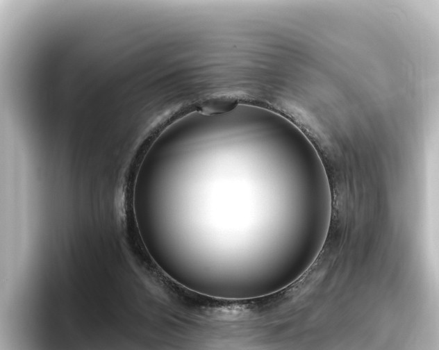 X0000096430112200801311440