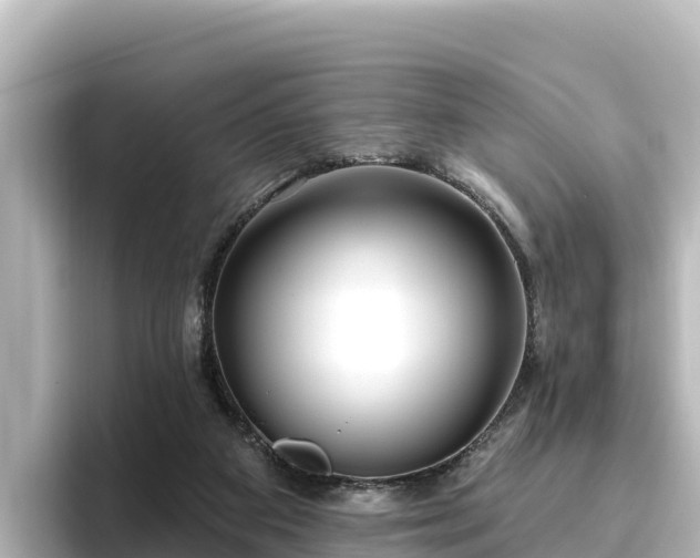 X0000096430113200801311440