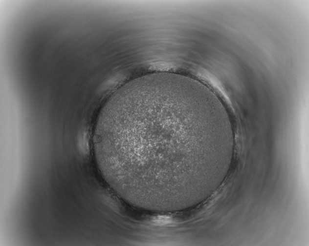 X0000096430114200801311440