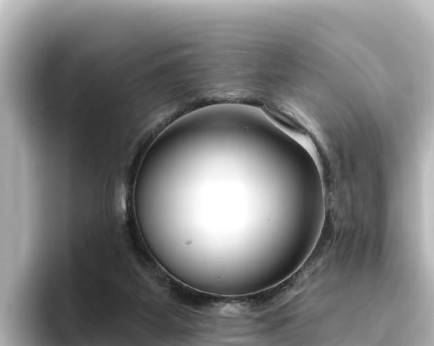 X0000096430115200801311440