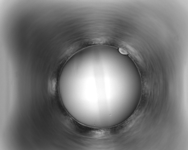 X0000096430118200801311440