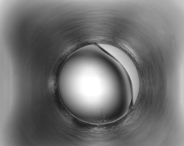 X0000096430119200801311440