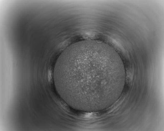 X0000096430130200801311440
