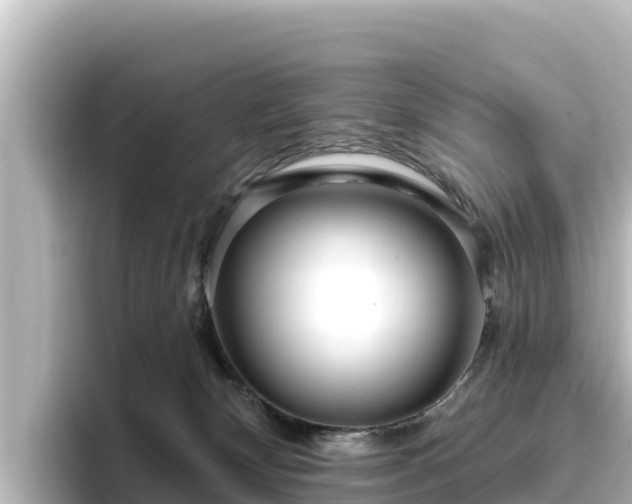 X0000096430132200801311440
