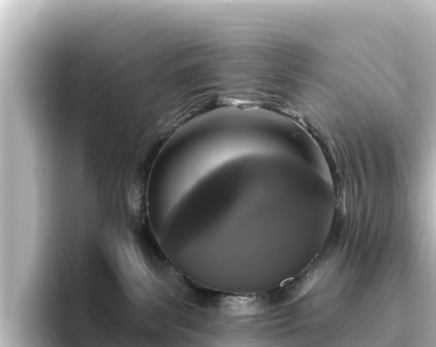 X0000096430139200801311440