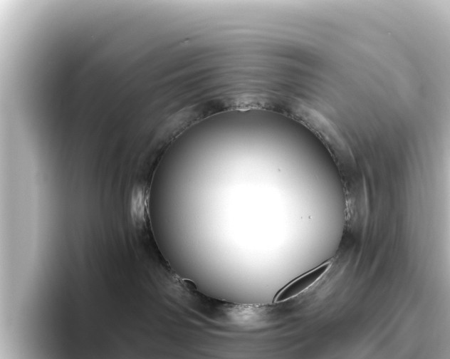 X0000096430142200801311440