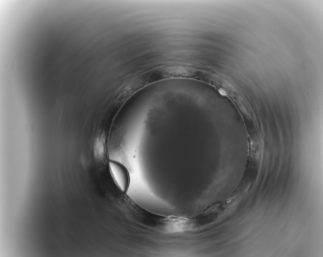 X0000096430143200801311440