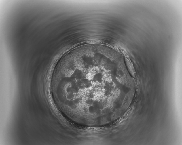 X0000096430145200801311439