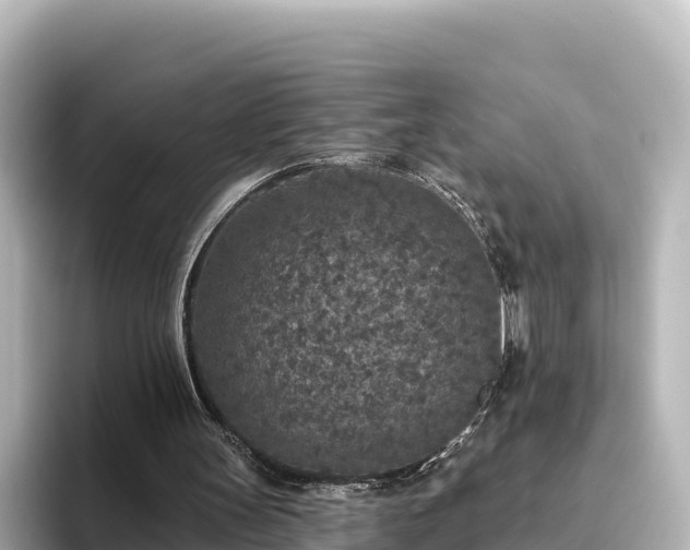 X0000096430147200801311439