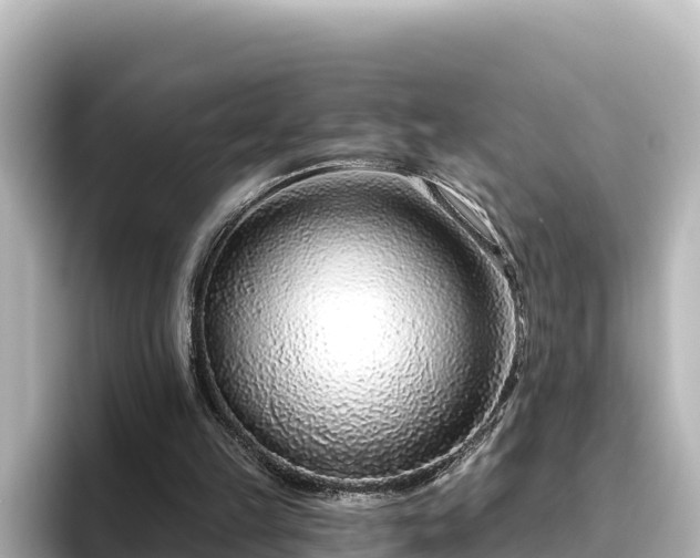 X0000096430149200801311439