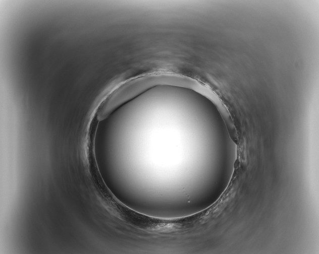 X0000096430152200801311439