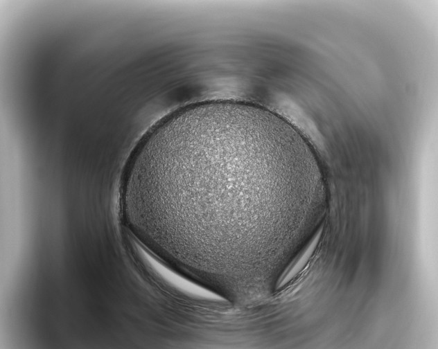 X0000096430156200801311439