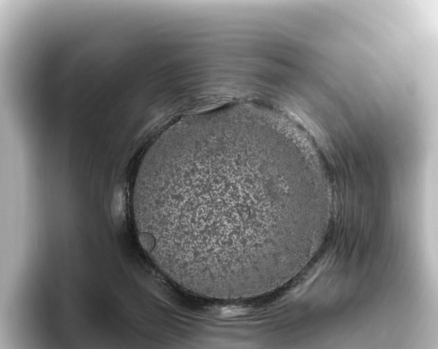 X0000096430165200801311439