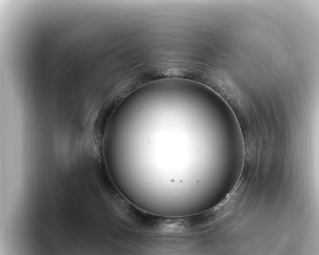 X0000096430175200801311439