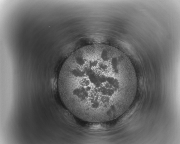 X0000096430177200801311439