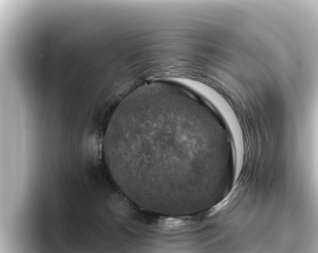 X0000096430180200801311440