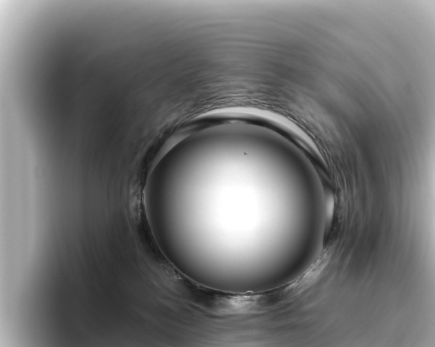 X0000096430184200801311440