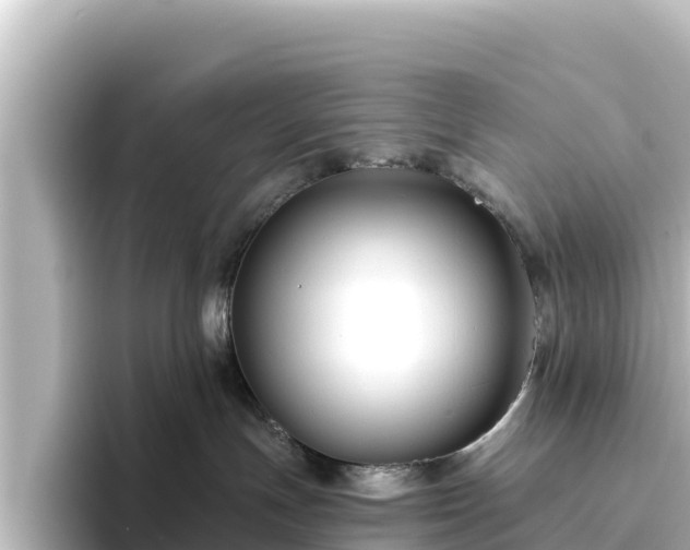 X0000096430191200801311440