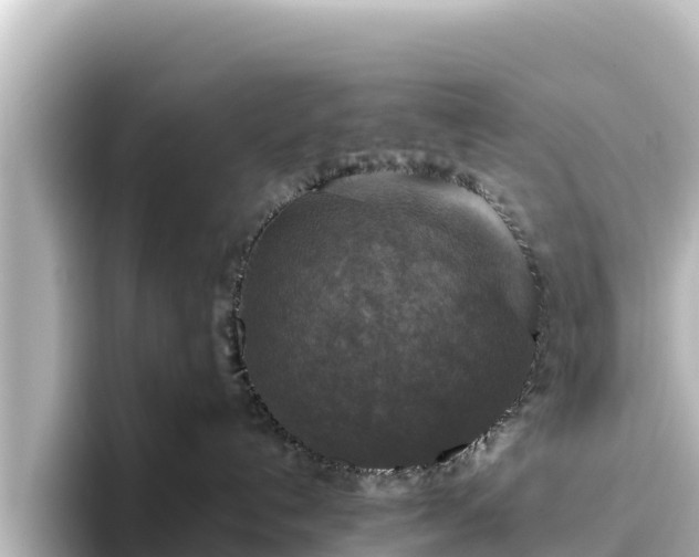 X0000096430192200801311440