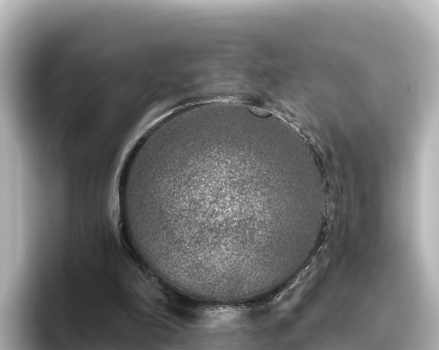 X0000096430198200801311439