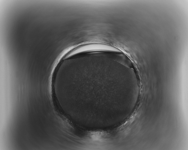 X0000096430200200801311439