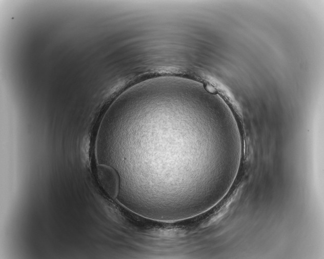 X0000096430201200801311439