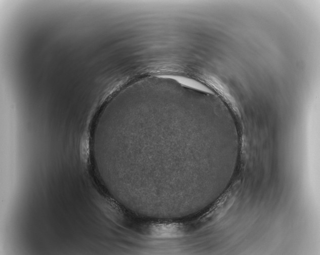 X0000096430202200801311439