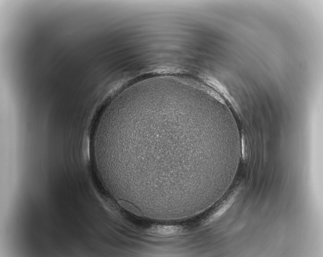 X0000096430205200801311439