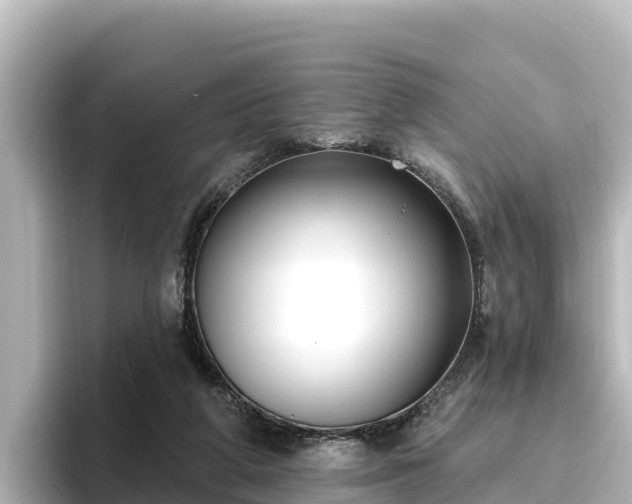 X0000096430210200801311439