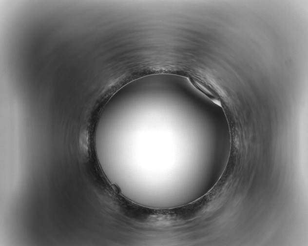 X0000096430211200801311439