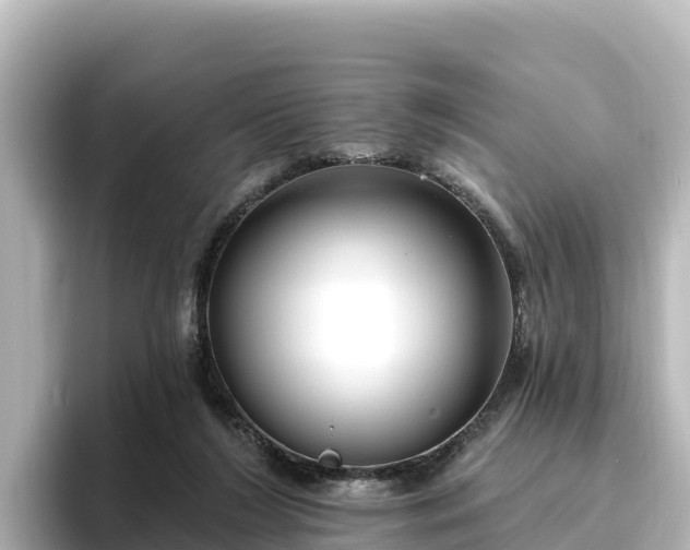 X0000096430212200801311439