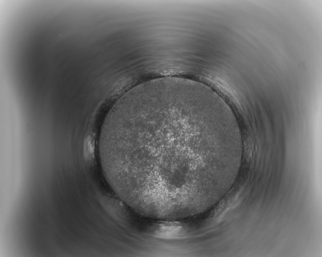 X0000096430214200801311439