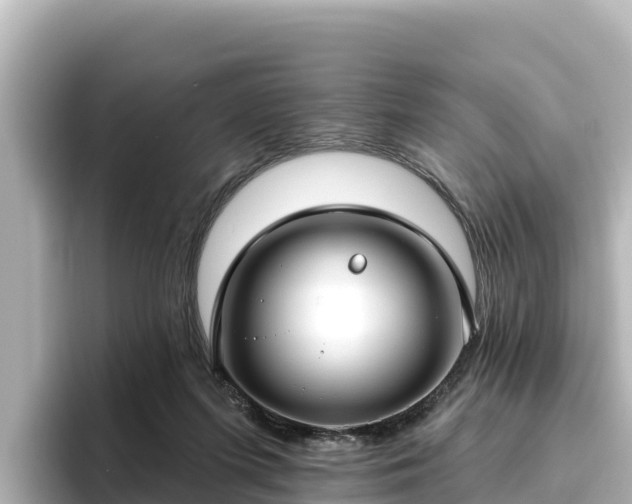 X0000096430215200801311439