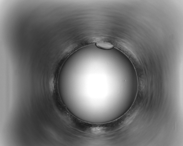 X0000096430216200801311439