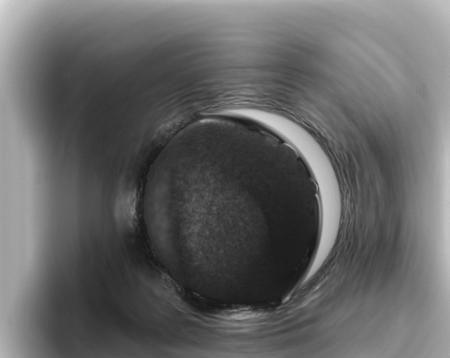 X0000096430219200801311439
