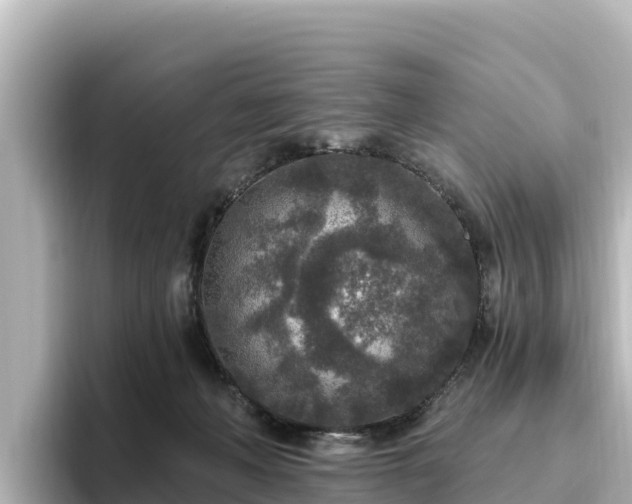 X0000096430222200801311439