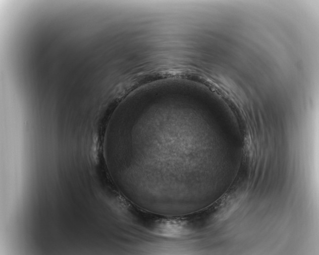 X0000096430223200801311439