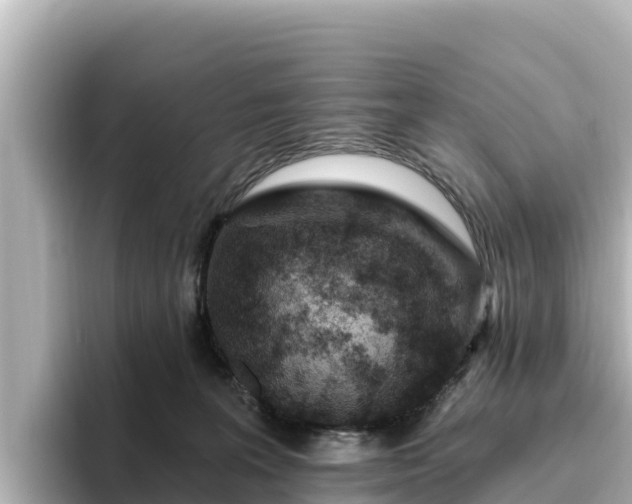 X0000096430227200801311439