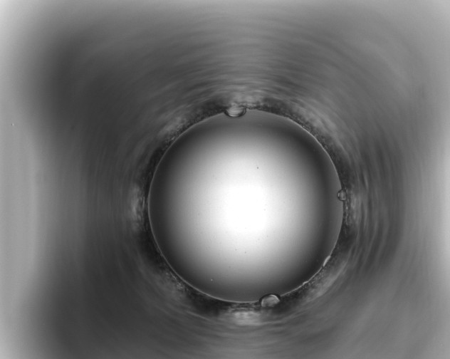 X0000096430228200801311439