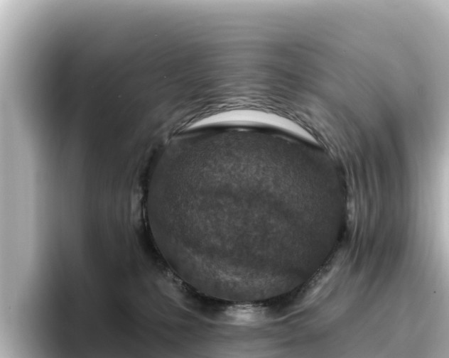 X0000096430231200801311439
