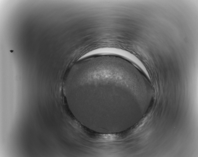 X0000096430233200801311439