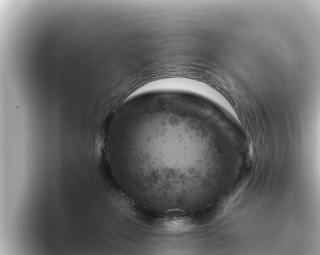 X0000096430235200801311438