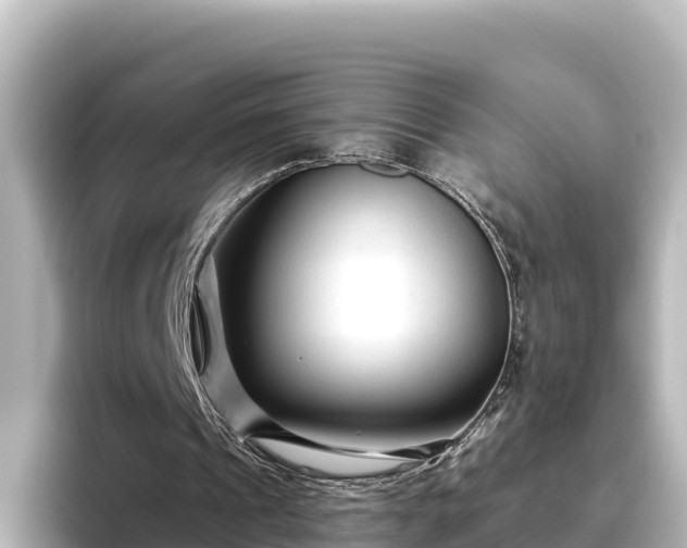 X0000096430241200801311438