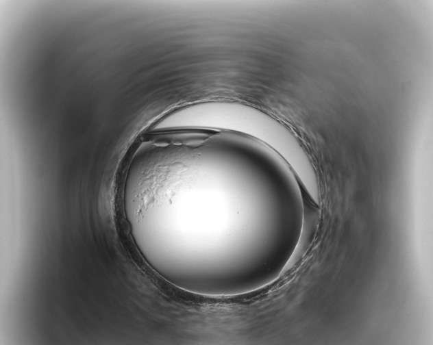 X0000096430242200801311438