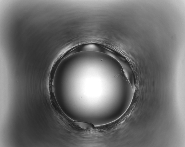 X0000096430244200801311438