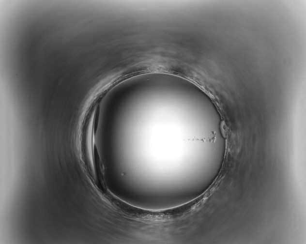 X0000096430245200801311438