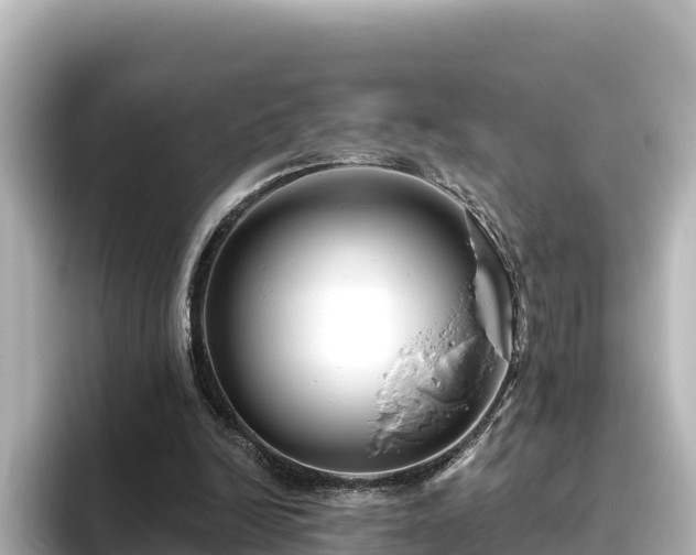 X0000096430246200801311438
